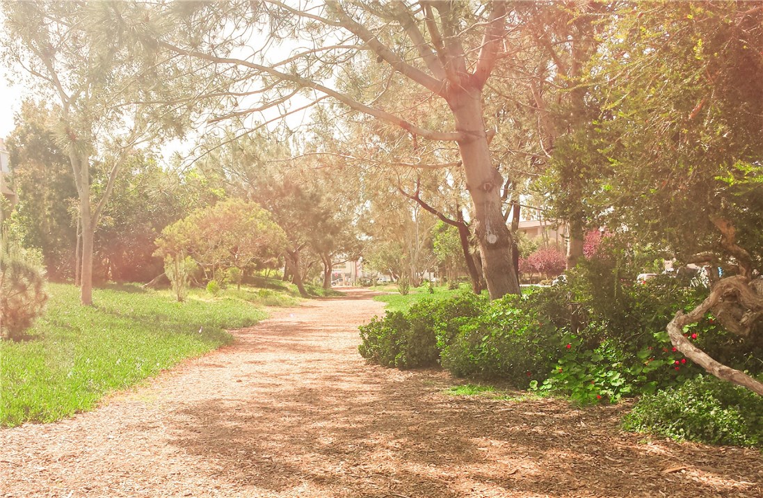 One of the many views you will find walking the Greenbelt.