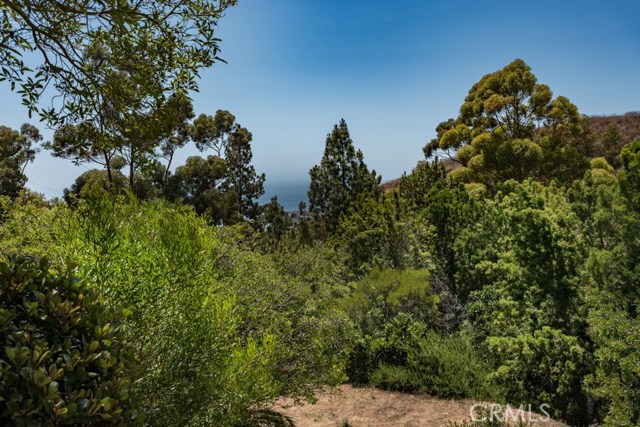 Wooded view and ocean in background