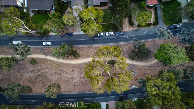 Overhead of Trail out front