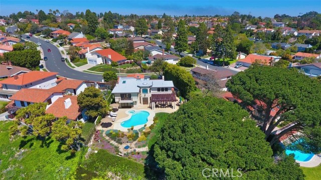 Aerial Photo of Backyard