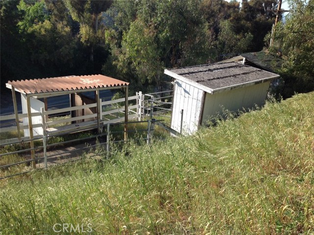 Separate Horse Area Across the Road