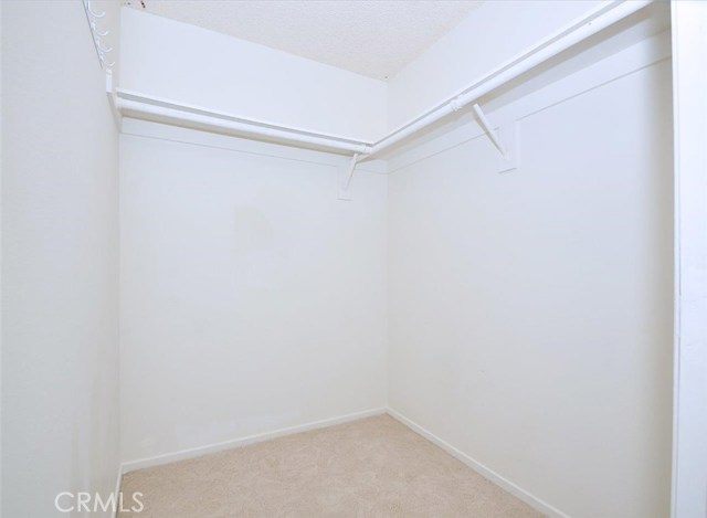 Walk-in Closet in Master Bedroom