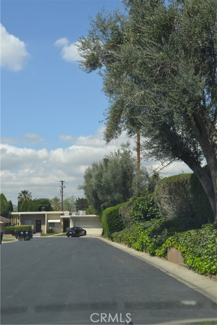 Beautifully maintained and manicured streets within the complex.