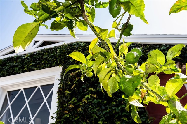 528 Marine Avenue, Manhattan Beach, California 90266, 3 Bedrooms Bedrooms, ,2 BathroomsBathrooms,Residential,Sold,Marine,SB19035532