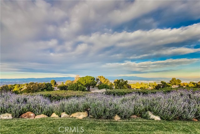 The gardens feature an amazing array of plants ranging from lavender to succulents - complementing the expansive and dramatic views.