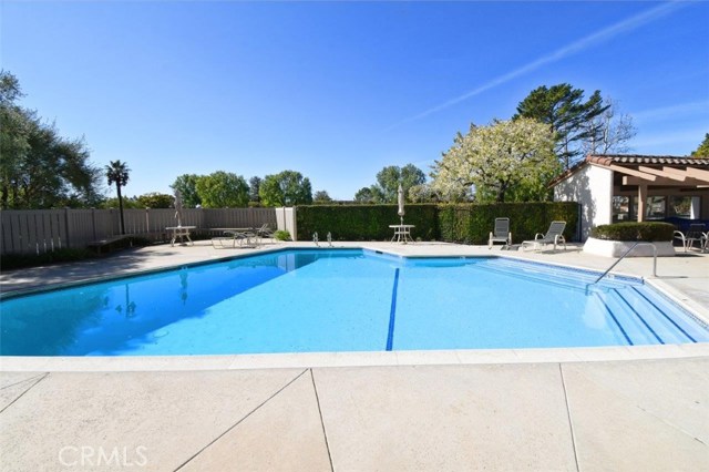 Community Swimming Pool & Spa