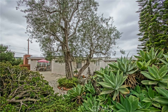 707 24th Place, Hermosa Beach, California 90254, 3 Bedrooms Bedrooms, ,2 BathroomsBathrooms,Residential,Sold,24th,SB21105604