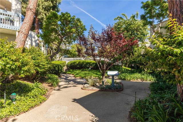 View from your over-sized balcony.