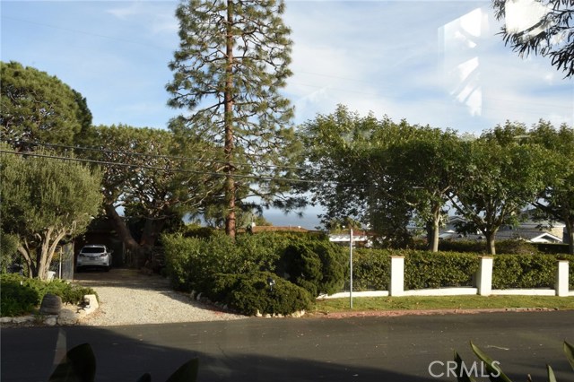 Ocean view from inside the living room.  Ocean is right behind the houses across the street!