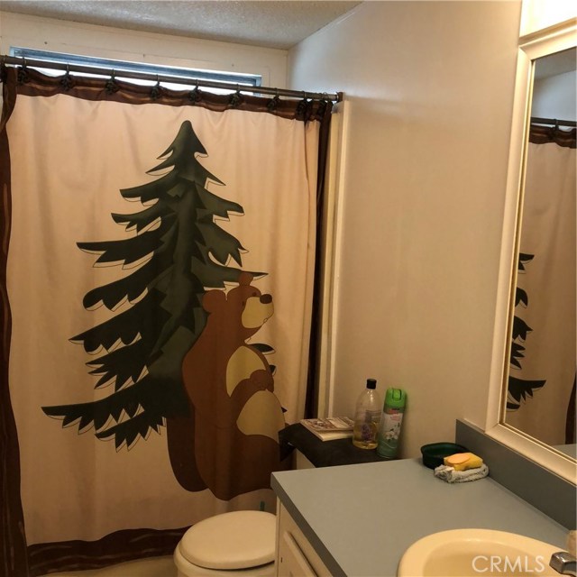 Guest bathroom, with shower over tub.