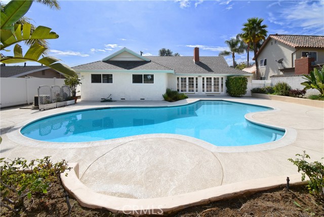 Backyard - with pool