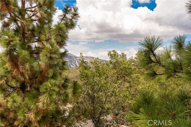 469 Villa Grove Avenue, Big Bear, CA, 92314 469 Villa Grove Avenue