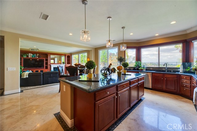 Chef's dream kitchen features Italian granite with full backsplash and inlays and modern blown glass pendants