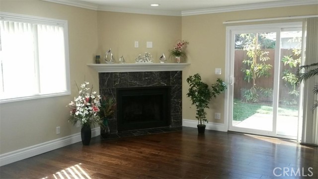 Living Room fire place