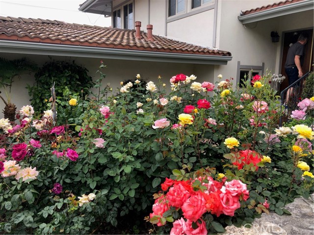 28003 Hazelridge Drive, Rancho Palos Verdes, California 90275, 4 Bedrooms Bedrooms, ,1 BathroomBathrooms,Residential,Sold,Hazelridge,PV20214805