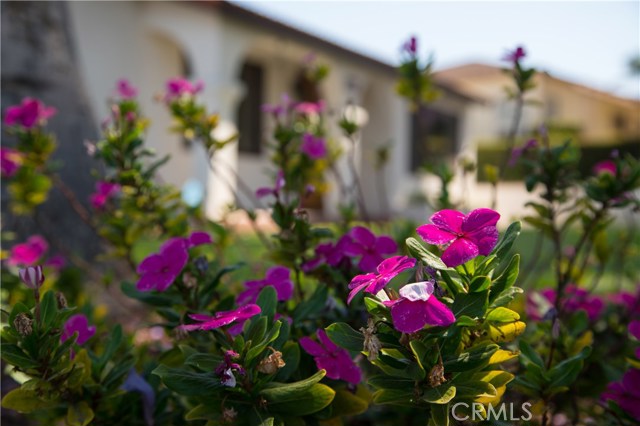 1902 Trudie Drive, Rancho Palos Verdes, California 90275, 3 Bedrooms Bedrooms, ,1 BathroomBathrooms,Residential,Sold,Trudie,SB18146373