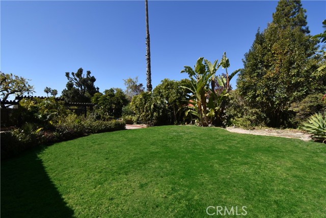Lush Landscaping