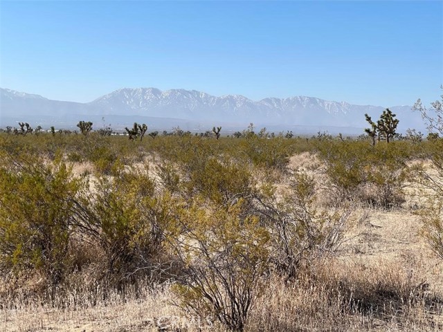  Land for Sale in Llano, California