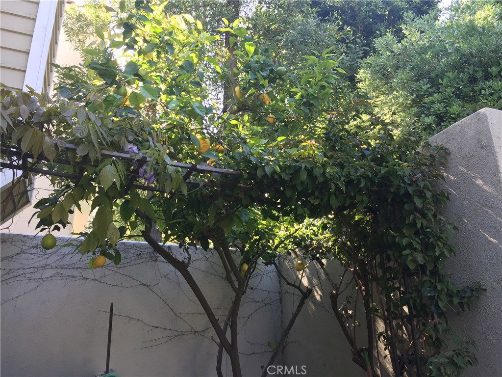 Bel Air Crest Real Estate Bel Air Crest Homes for Sale