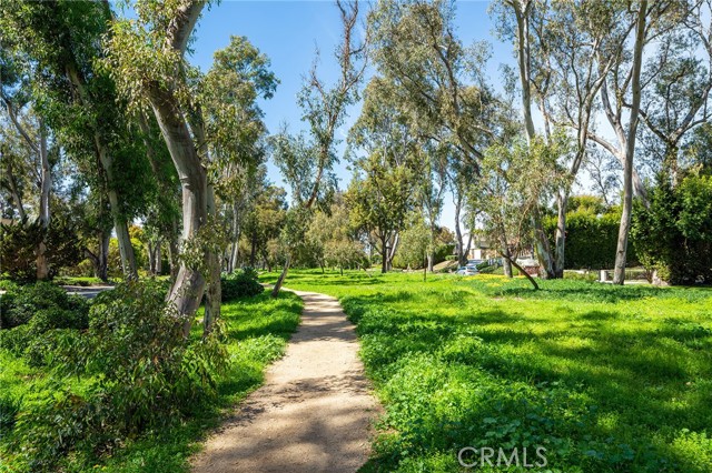 2517 Palos Verdes Drive, Palos Verdes Estates, California 90274, 3 Bedrooms Bedrooms, ,2 BathroomsBathrooms,Residential,Sold,Palos Verdes,SR21139215