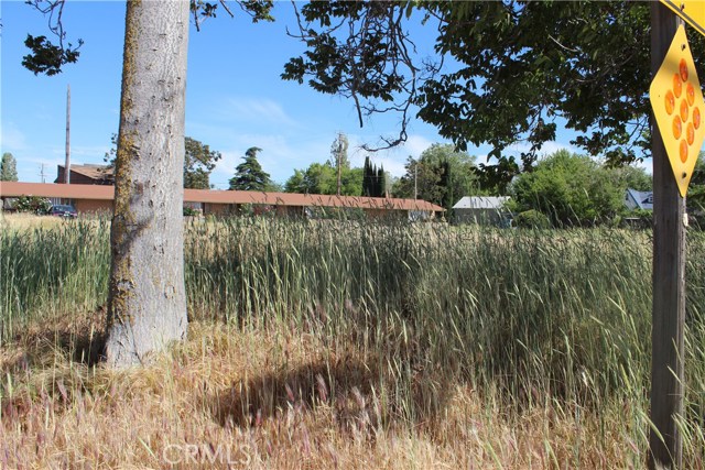 Tehachapi, ,For Sale,Tehachapi,SR17141119