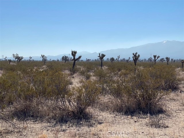  Land for Sale in Llano, California