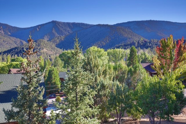 Detail Gallery Image 1 of 1 For 2716 Arctic Dr, Pine Mountain Club,  CA 93222 - 4 Beds | 2 Baths