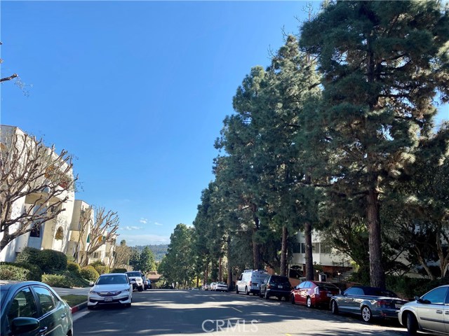 tree lined street view