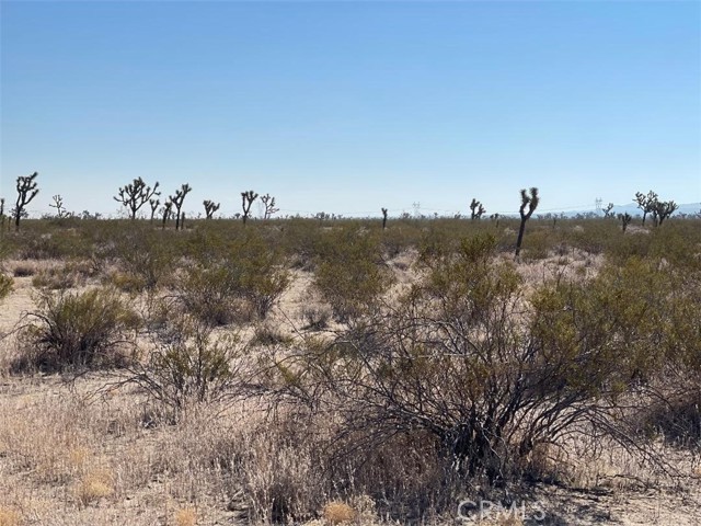  Land for Sale in Llano, California