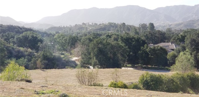10 Vacant Land Apn 2840-021-011(10 Live Oak)