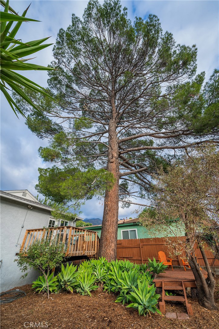 Photo for 6916 Beckett Street, Tujunga, CA 91042 - Listing #SR-19276702 6916 Beckett Street, Tujunga, CA 91042