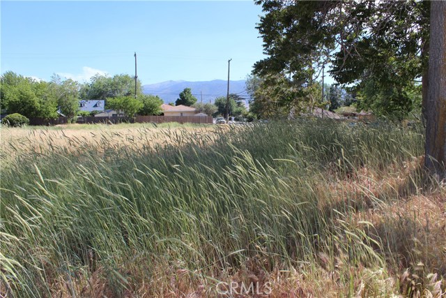 Tehachapi, ,For Sale,Tehachapi,SR17141119