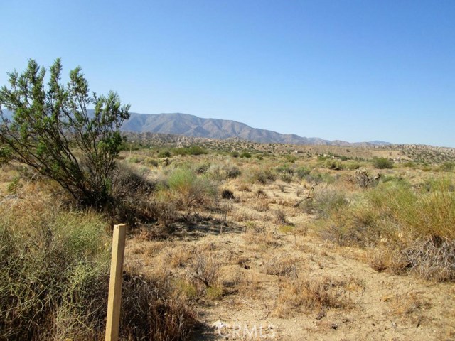 Fort Tejon nr Butterfield Stage Rd, 93553, ,For Sale,Fort Tejon nr Butterfield Stage Rd,SR18287695