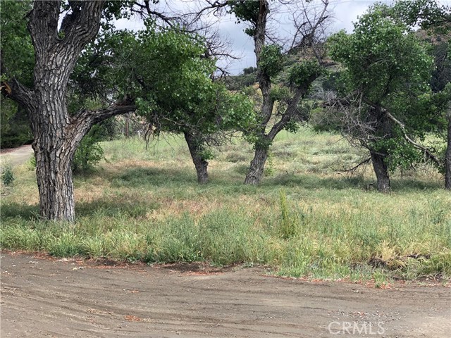 1 Placerita Canyon Road, Canyon Country, CA, 91387 1 Placerita Canyon Road