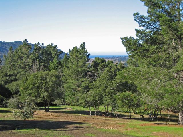 Alta Madera (Tehama Lot 4), 93923, ,For Sale,Alta Madera (Tehama Lot 4),ML81710056