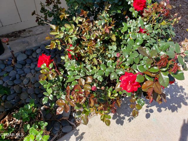 4 Bed Home for Sale in Thousand Oaks, California