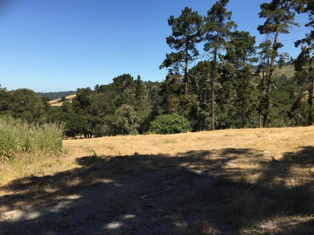 Alta Madera (Tehama Lot 4), 93923, ,For Sale,Alta Madera (Tehama Lot 4),ML81710056