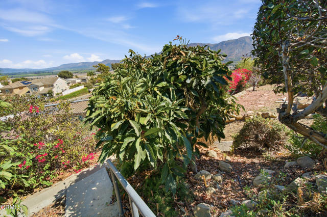 Property Photo 41
