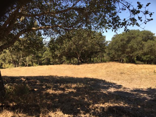 Alta Madera (Tehama Lot 4), 93923, ,For Sale,Alta Madera (Tehama Lot 4),ML81710056