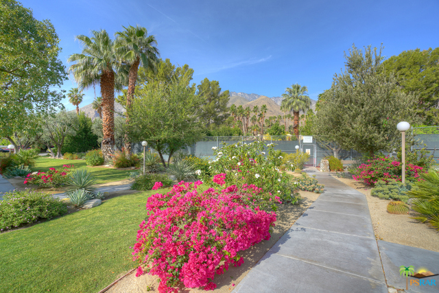 Gorgeous new desert landscaping