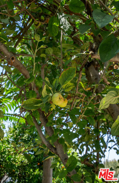 Property Photo 49