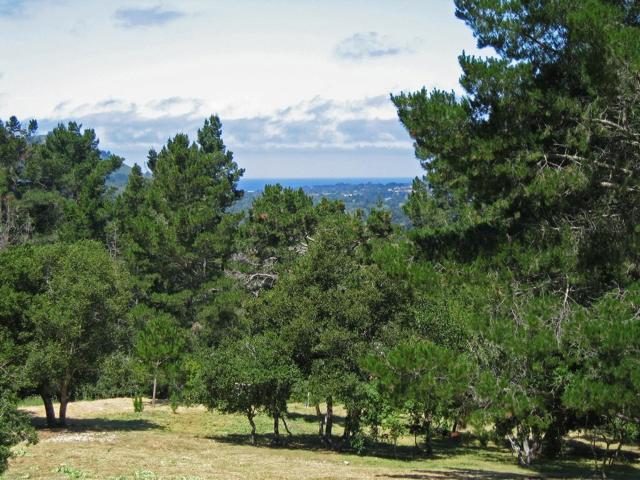 Alta Madera (Tehama Lot 4), 93923, ,For Sale,Alta Madera (Tehama Lot 4),ML81710056