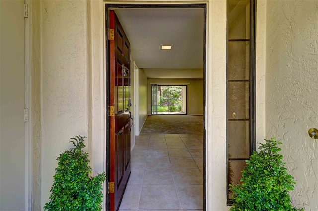 3146 Avenida Alcor