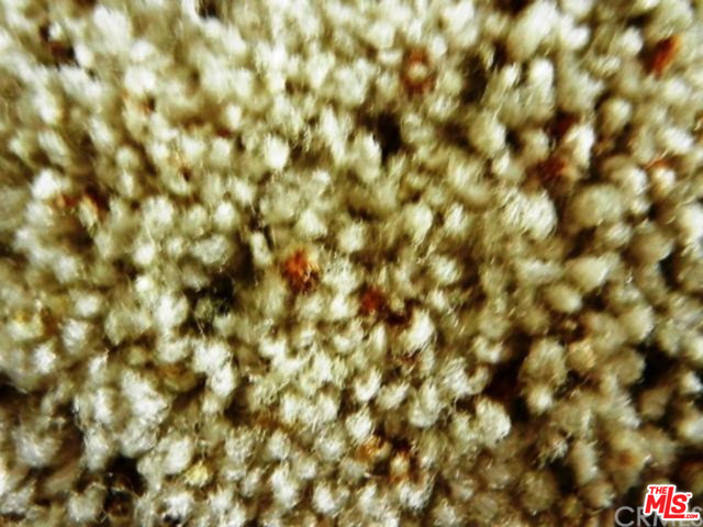 Carpet closeup