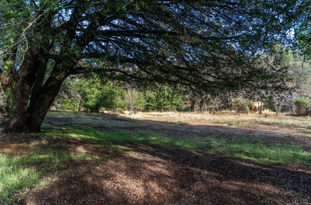Pine Hills Rd., Julian, CA, 92036 Pine Hills Rd.
