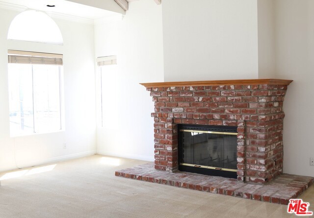 Living Room fireplace
