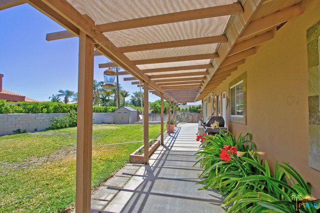 Back Patio