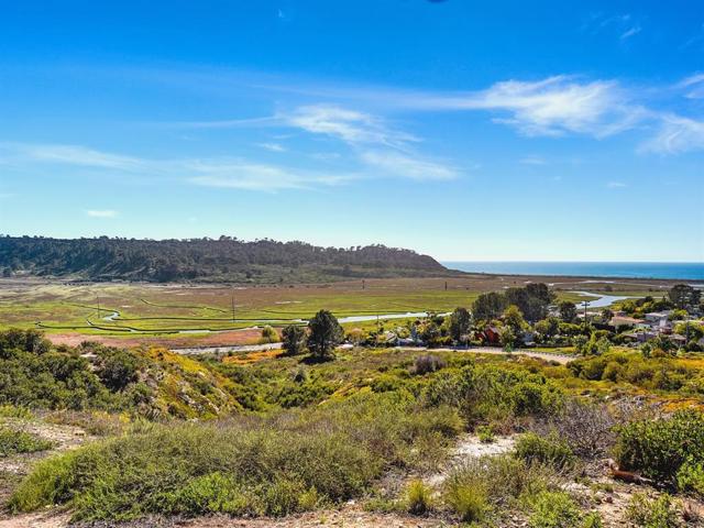 Yes, that's the Pacific Ocean and Torrey Pines State Beach!