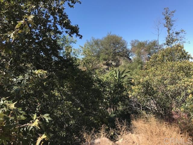 Rainbow Creek Rd 4.5 ac, 92028, ,For Sale,Rainbow Creek Rd 4.5 ac,180034715