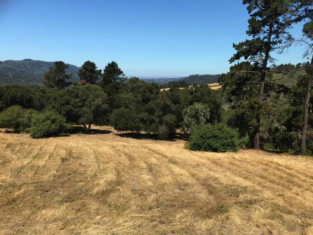 Alta Madera (Tehama Lot 4), 93923, ,For Sale,Alta Madera (Tehama Lot 4),ML81710056